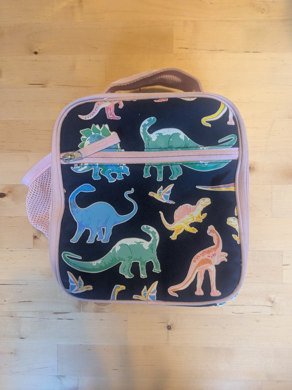 Pottery Barn Kids Dinosaur Lunch Bag - Pink Trim